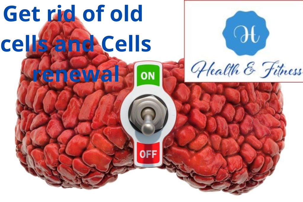 Get rid of old cells and Cells renewal