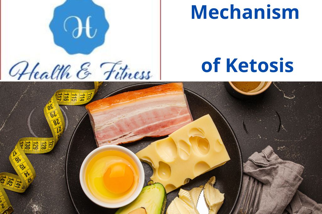 How does the whole mechanism of ketosis work
