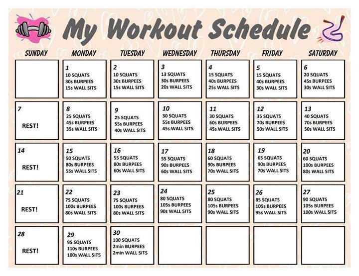 Plan your training schedules