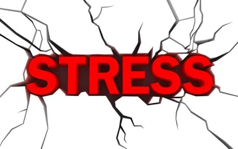 stress and fatigue also reduce your self-control
