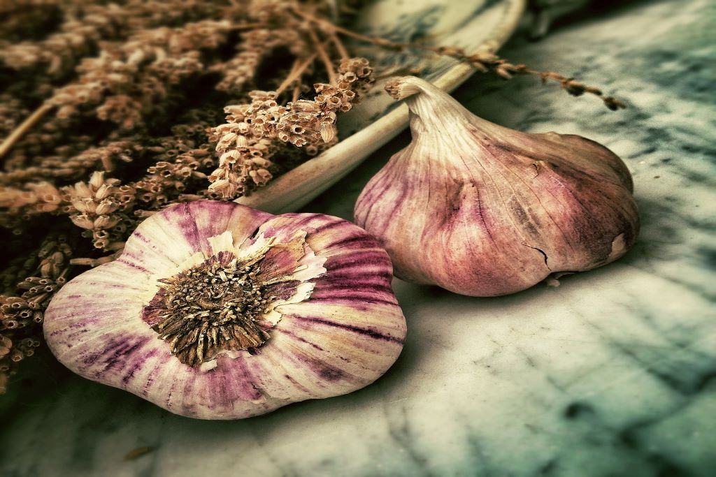 Garlic Reduces blood toxicity