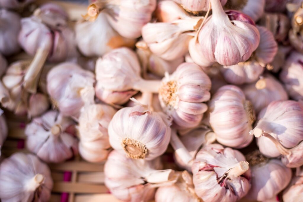 Main health benefits of garlic 
