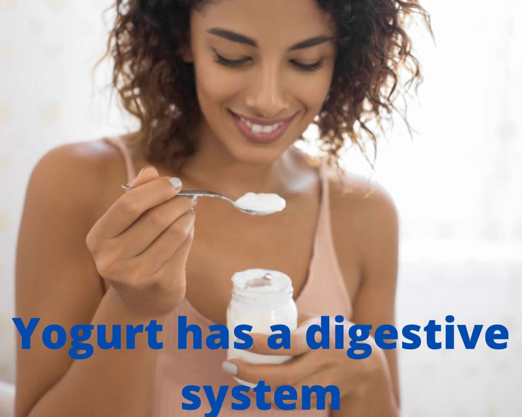 Yogurt has a digestive system