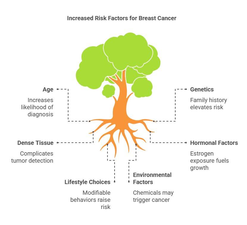 What Are the Risk Factors for Breast Cancer?