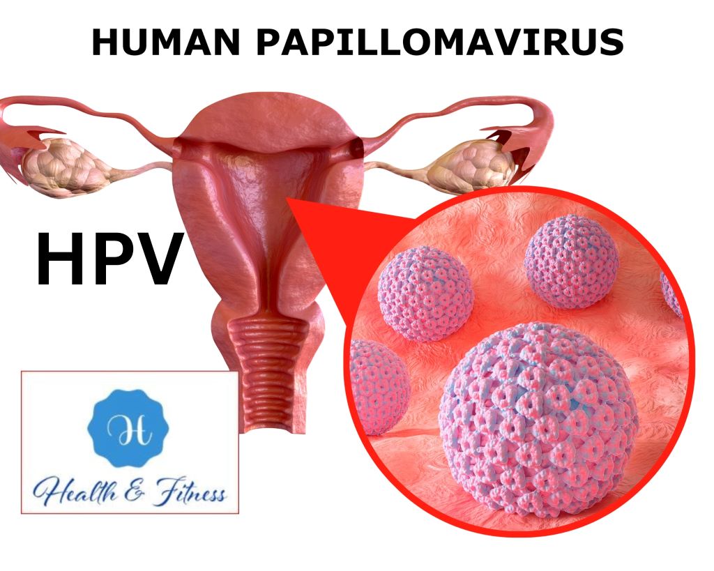 Pap and human papillomavirus (HPV) Health Screenings