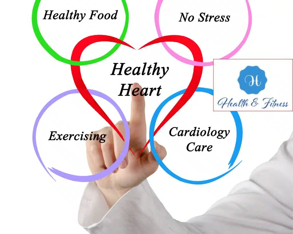 The Importance of a Healthy Heart