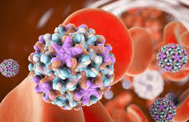 Best 10 treatments and therapies for Hepatitis B