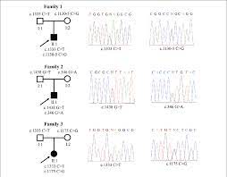 Renal glycosuria