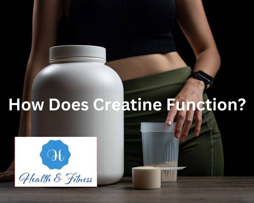 How Does Creatine Function?