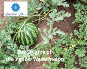 The Origins of the Yellow Watermelon 