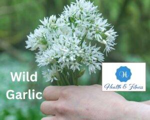 Wild Garlic