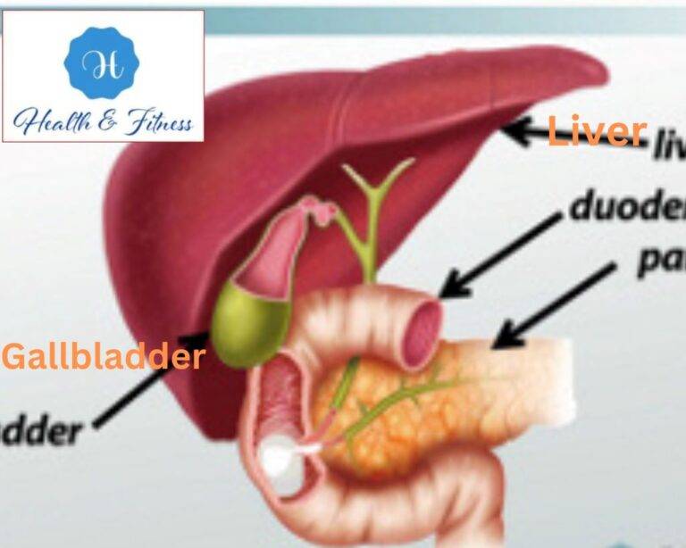 Understanding Gallbladder And Liver Functions: Digestive Heroes