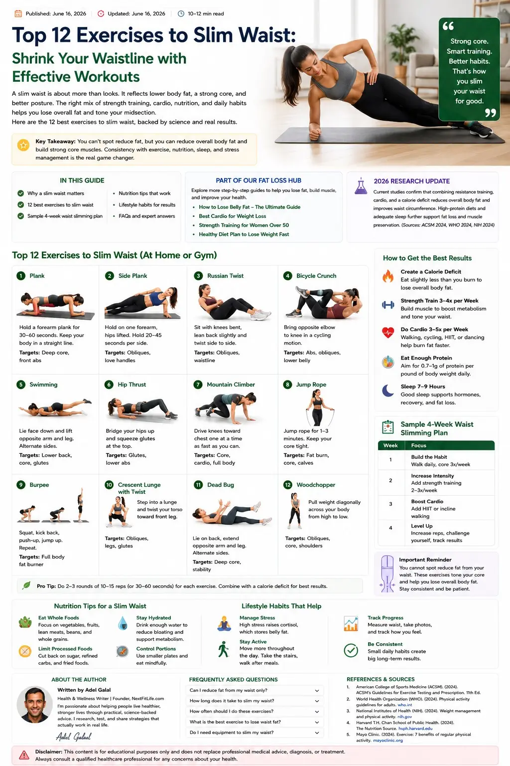 Exercises to Slim Your Waist - Adults doing walking, cycling, chair squats, resistance band rows, carries, dead bugs, bird dogs, side planks, and standing core presses