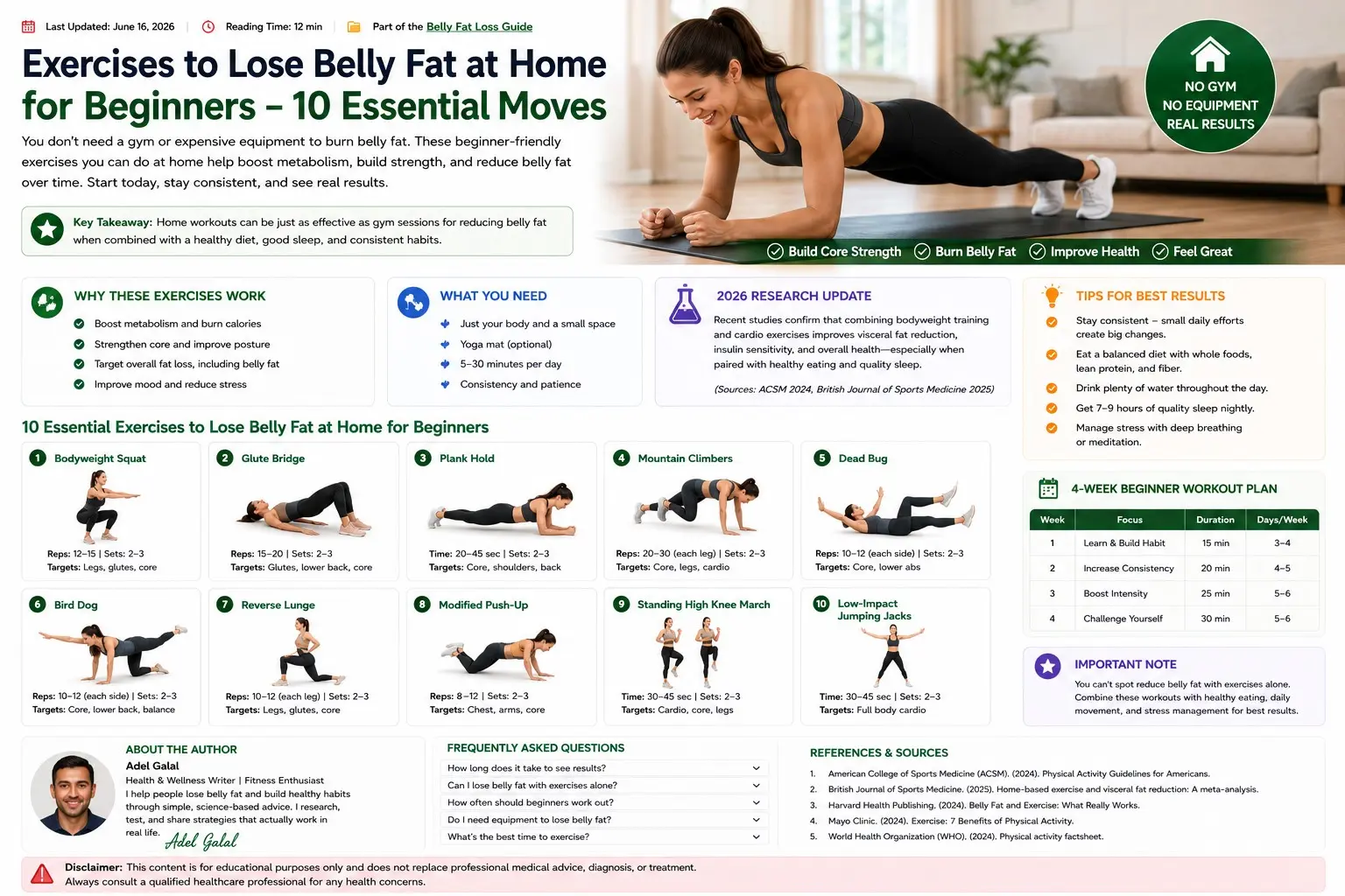 Exercises to Lose Belly Fat at Home for Beginners - Adults doing beginner home exercises including marching, chair squats, wall push ups, bridges, dead bugs, bird dogs, lunges, step jacks, and side planks