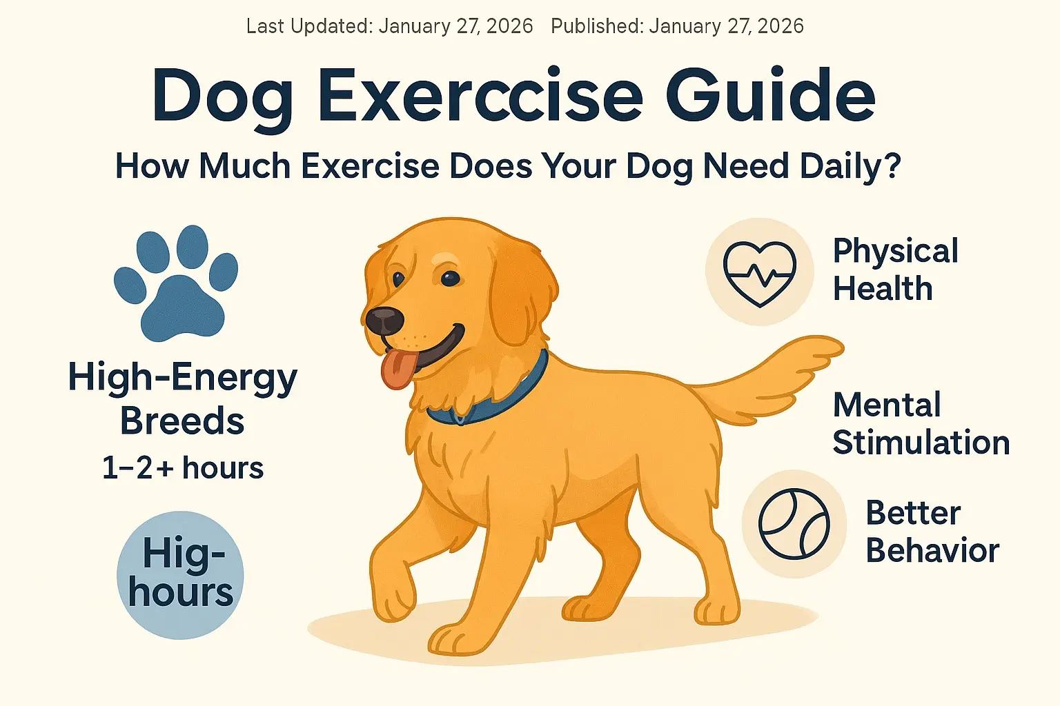 Dog Exercise